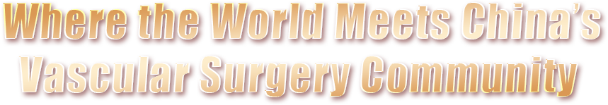 Where the World Meets China’s Vascular Surgery Community